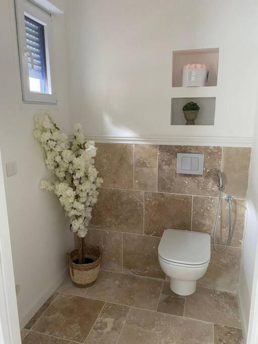 Appartement Hortillonne à Amiens Extérieur photo